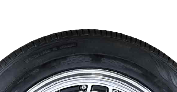 Descripción de la imagen